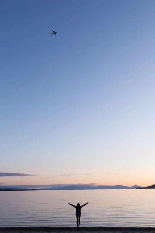 Quali sono i metodi migliori per stimolare la curiosità di un gatto di razza Pixiebob in casa?