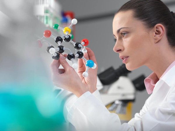 Quali tecniche di cucina molecolare possono essere applicate in un ristorante vegetariano?